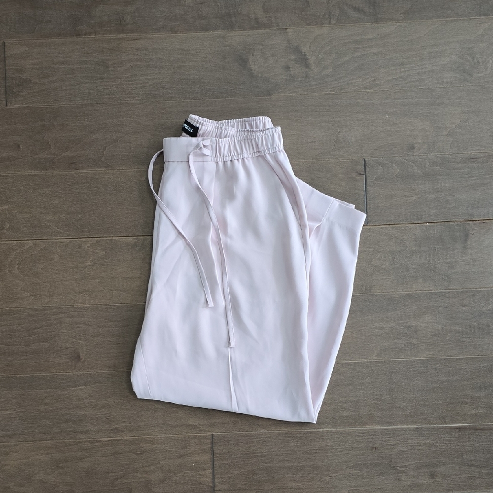 Express Blush Jogger Pants